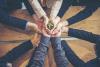 Image of hands of businesspeople holding a planting showing concept of green businesses